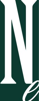 NEmasterlogo