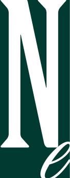 NEmasterlogo